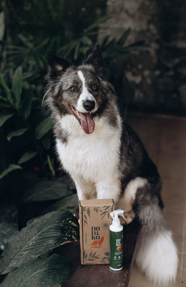 Spray Neem - 180ml - Image 3