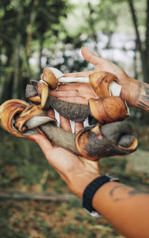 Knot - Image 3